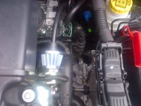 IMG-20140719-00075.jpg