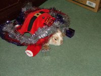 FFxmasbinki.JPG