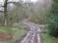 Muddy_path_-_geograph.org.uk_-_1774022.jpg