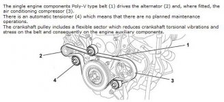 JTD 8v Aux Belt.JPG