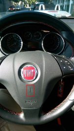 IMAG1230 (Large).jpg