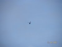 PICT0071.JPG