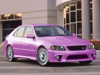 purpley copy.jpg