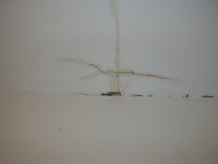 DSCN1564.JPG