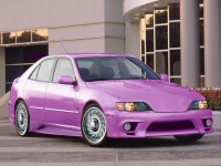 purpley copy1.jpg