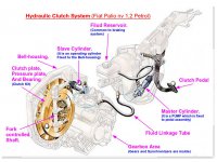 Hydraulic Clutch System (Fiat Palio 1.2 nv Petrol).jpg