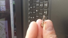 20180728_111515.jpg