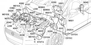 Engine Wiring 1.3mjet.JPG