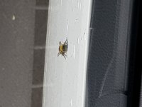 20170623_115306.jpg