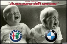Alfa-BMW.jpg