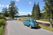 FER_3485.JPG