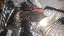 20180117_164328.jpg