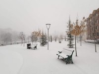 IMG-20181225-WA0004.jpg