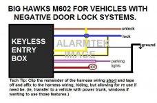 BIGHAWKS.jpg