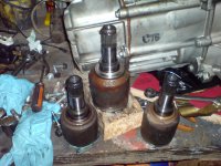 DSC00110.JPG