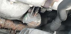 20190203_124901.jpg