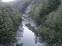 DSC05386.JPG