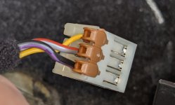 PXL_20210801_162456011.jpg