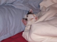 DSCF9345.JPG