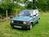 Fiat Panda.JPG