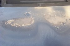 bonnet.jpg