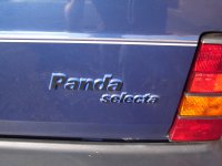 DSC00524.JPG