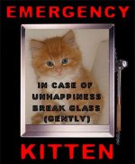 emergency-kitten.jpg