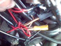 Wires.jpg Wires.jpg