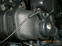 CIMG0468.JPG