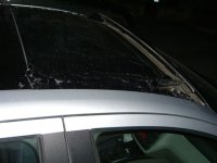 CIMG7817.JPG