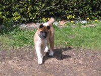 Tia at 12 weeks 002.jpg