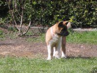 Tia at 12 weeks 003.jpg