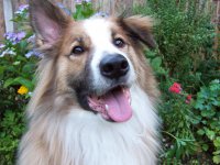 brunoflowers.JPG