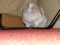 DSCF3540.JPG