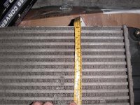 8 inches.JPG