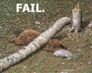 failbeaver.jpg