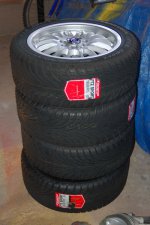DSC_0101.jpg