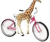 bicycle girafe.JPG