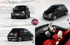 Fiat 500 Background.jpg