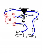 fuel reg 2.jpg