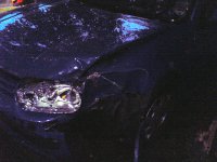 Ed's Crash (4).jpg