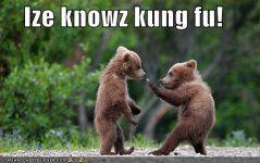 i know kung fu.jpg