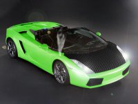 lambo.jpg
