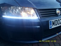 SL272538.JPG