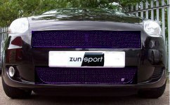 purple grill idea.jpg