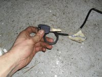 SDC10170.jpg