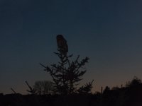 DSCF2260.JPG