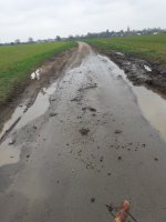 Acceptable condition or a developing hazard.jpg