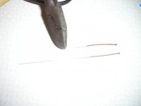 acupuncture 2.JPG