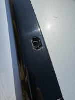IMG_7254.jpeg